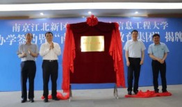 中信集团爆料事件始末最新消息,揭秘真相与后续影响