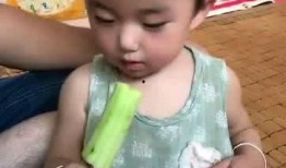 崽崽娱乐圈吃瓜,揭秘明星幕后故事，吃瓜群众狂欢盛宴